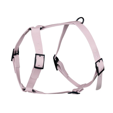 Harnais pour chien Y - Gummy Lila